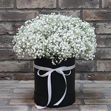 Цветочная композиция из Гипсофила в шляпной коробке в Барнауле