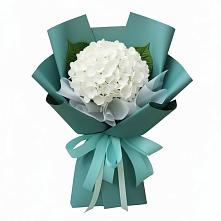 Букет цветов из:  Гортензия #REPLACE_PRED# Барнауле